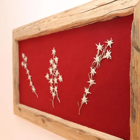 Appartamento Haensel & Gretel *